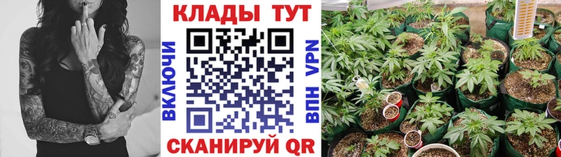 Названия наркотиков Урюпинск Cocaine Меф ГАШ Alpha PVP Марихуана